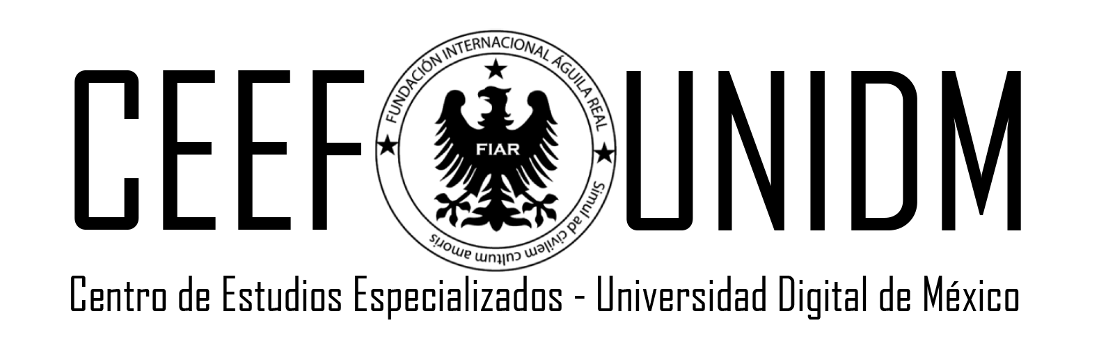 ceef-unidm.com